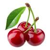 Cerises