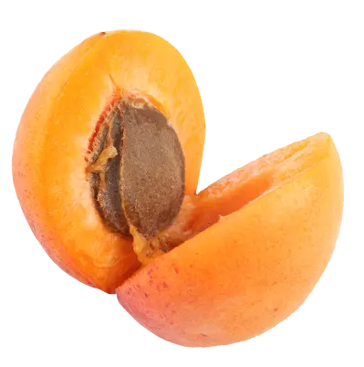 Abricots mûrs