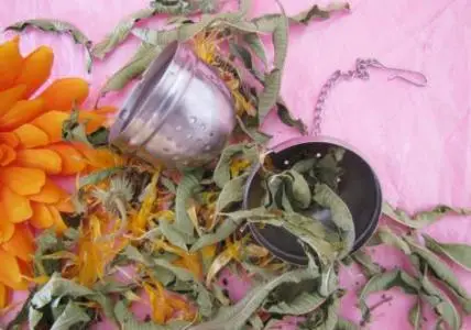 Infusion "Digestion facile"
