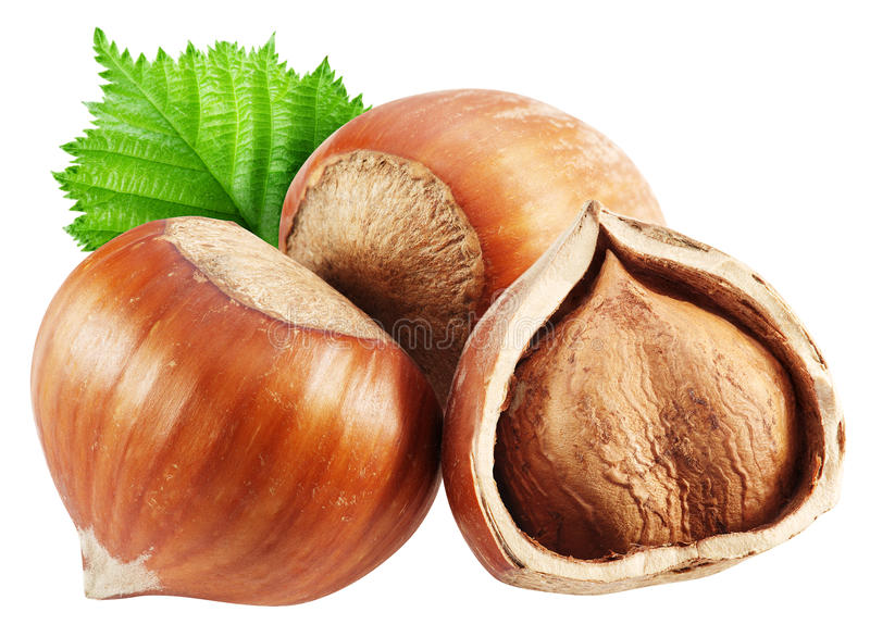 Noisettes ou autres oléagineux (amandes, cacahuètes, noix, …)