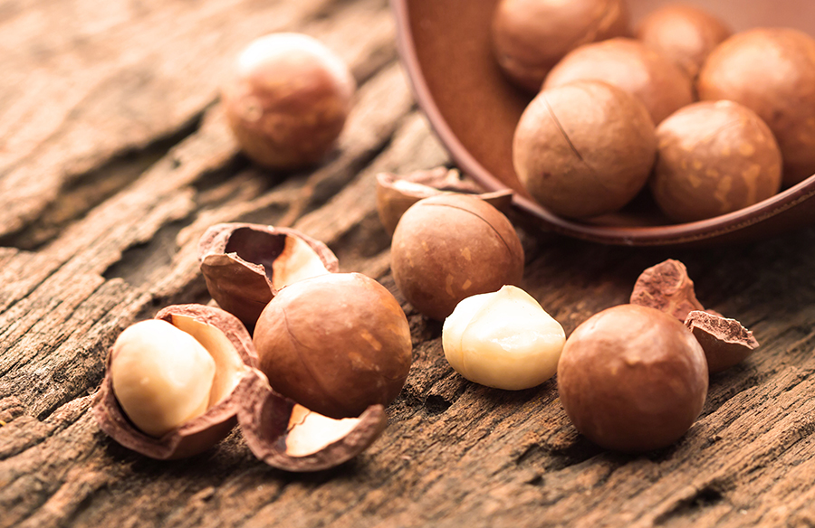 composition macadamia 2 900x584