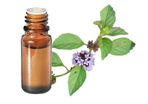 Huile essentielle de Menthe des champs