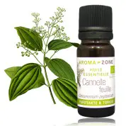 catalogue_he_cannelle-feuille-bio.webp