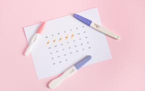 Cycle menstruel : comprendre la phase ovulatoire et l’accompagner naturellement
