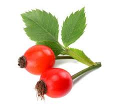 Aubépine BIO