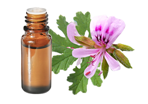 Olio essenziale di Geranio