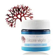 catalogue_actifs-cosmetiques_silicone-vegetal_4
