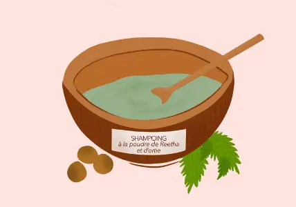 Recette Shampoing aux poudres de Reetha & d'Ortie AromaZone