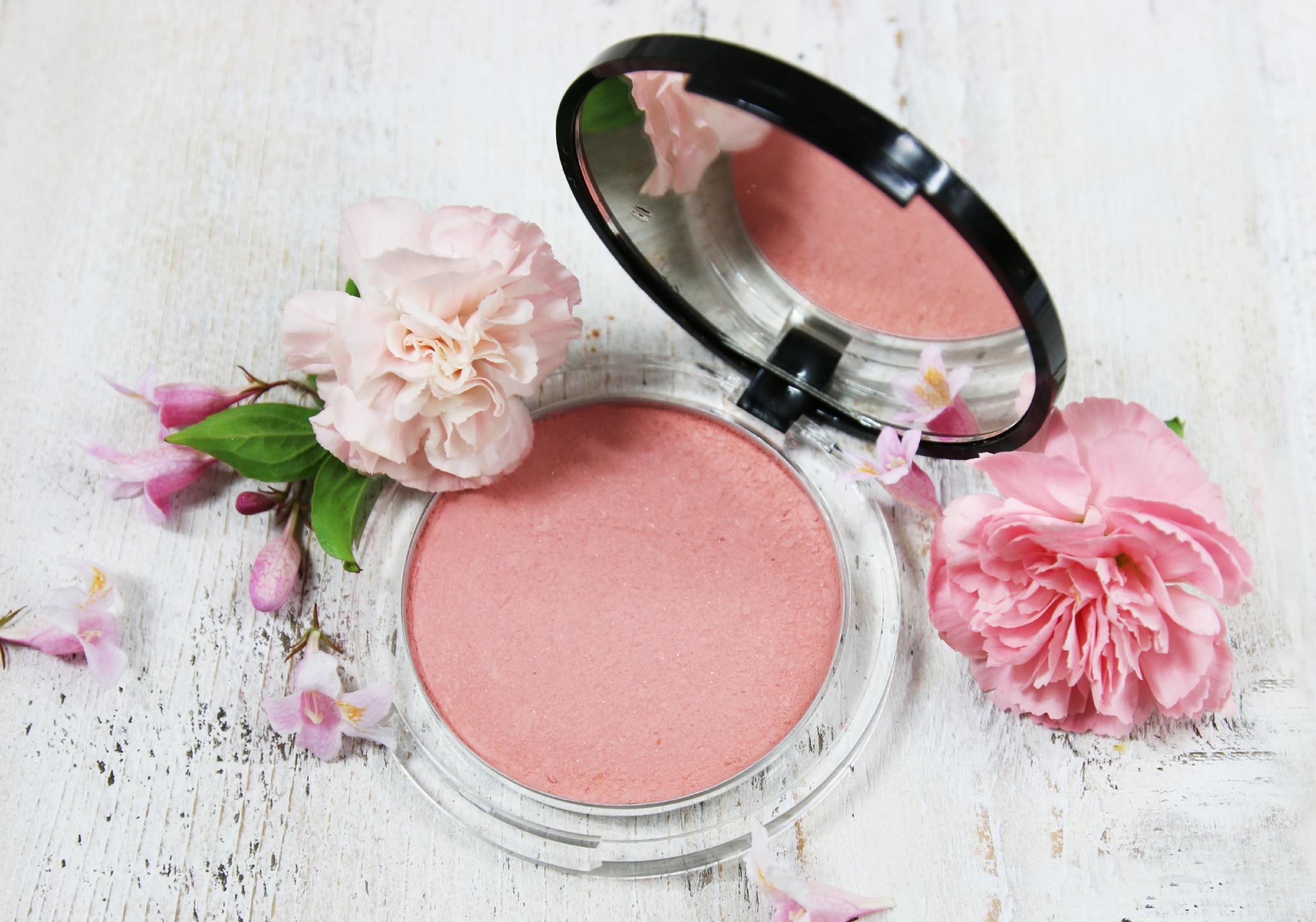 Blush compact rose blossom