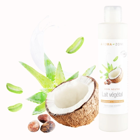 Lait végétal (du lait de coco par exemple)