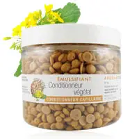 Emulsifiant Conditionneur végétal