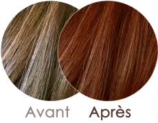 Coloration Cheveux Au Henné Bio 100% Naturel - Poudre - Toutes Les Nuances - Marque Allin