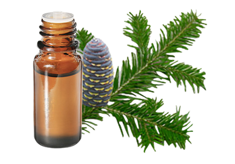 Olio essenziale di Abete siberiano