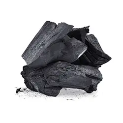 Carbon actif vegetal bio