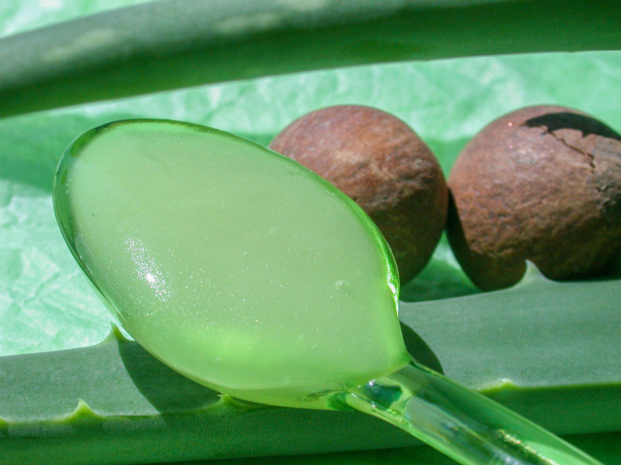 Gel circulatoire pour jambes légères Calophylle et Menthe AromaZone