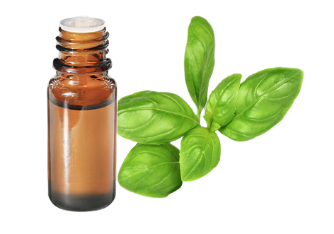 Huile Essentielle De Basilic Exotique CT Linalol - Bio 10 Ml - Pranarôm