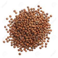 Lentilles