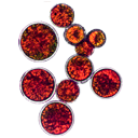 Ingredient astaxanthine