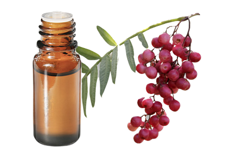 Olio essenziale di Bacche rosa