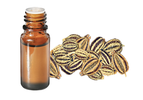 Olio essenziale di Ajowan BIO