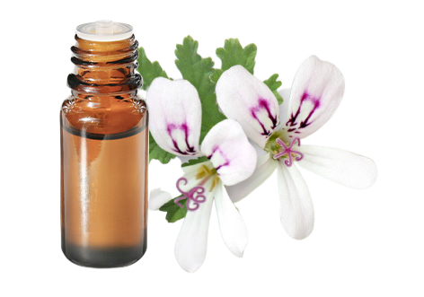 Huile essentielle Géranium Bourbon
