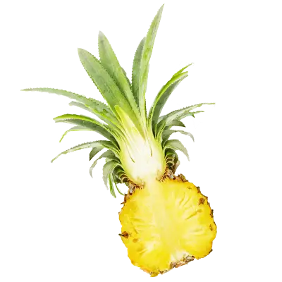 Tranche d'ananas