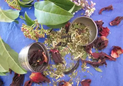 Tisane "minceur" bio