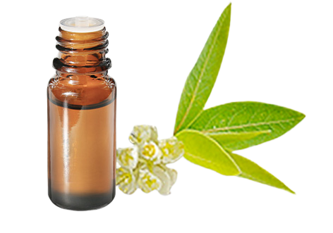Huile essentielle de Litsée citronnée BIO
