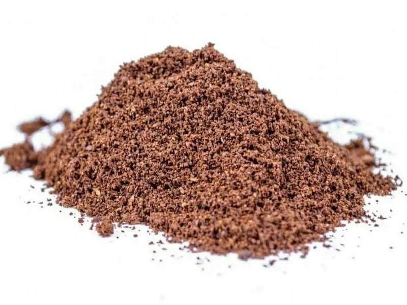 Cacao en poudre