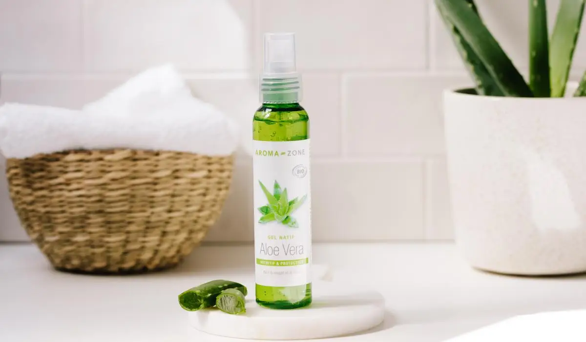 rectangle aloe vera216