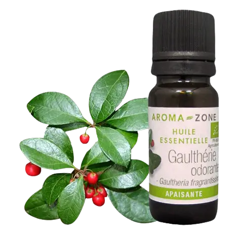 boule_HE_gaultheriecouchee