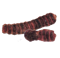 shikakai