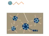 sf_emulsion_explication_shemaeh
