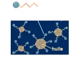 sf_emulsion_explication_shemahe
