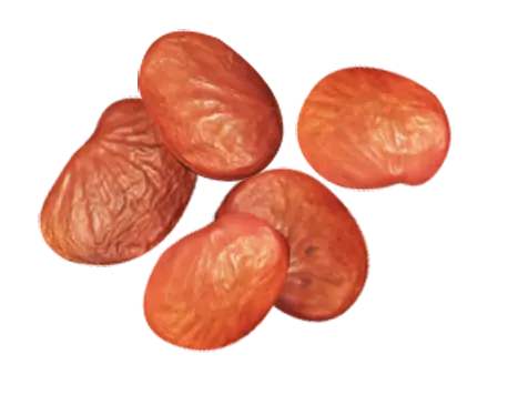 karanja