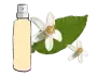 Profumo di Arancio
