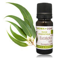 catalogue_he_euclayptus-radie_bio