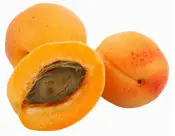 noyau d'abricot