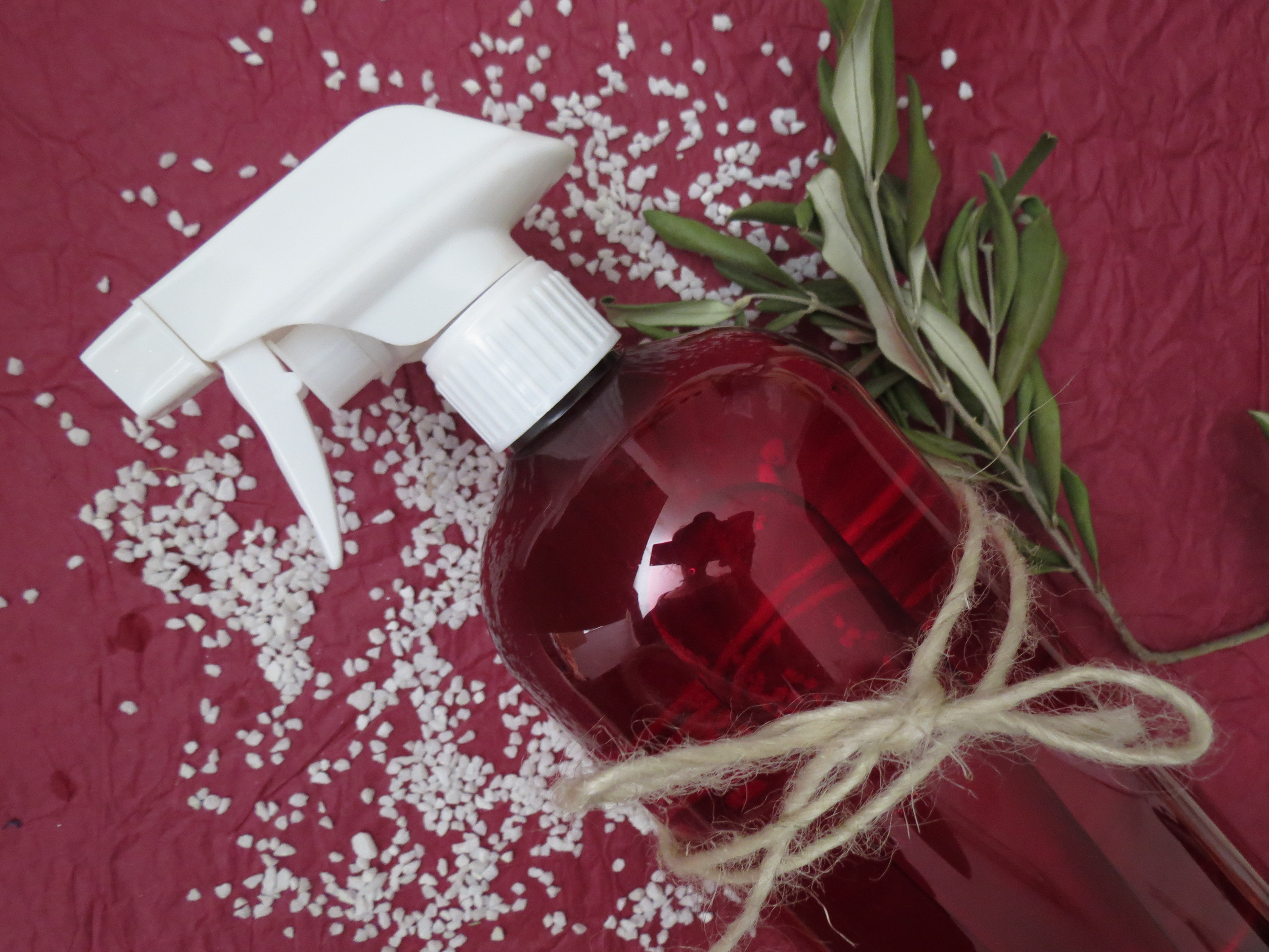 Spray assainissant pour les plantes