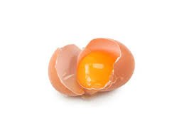 Jaune d'œuf pour dorer