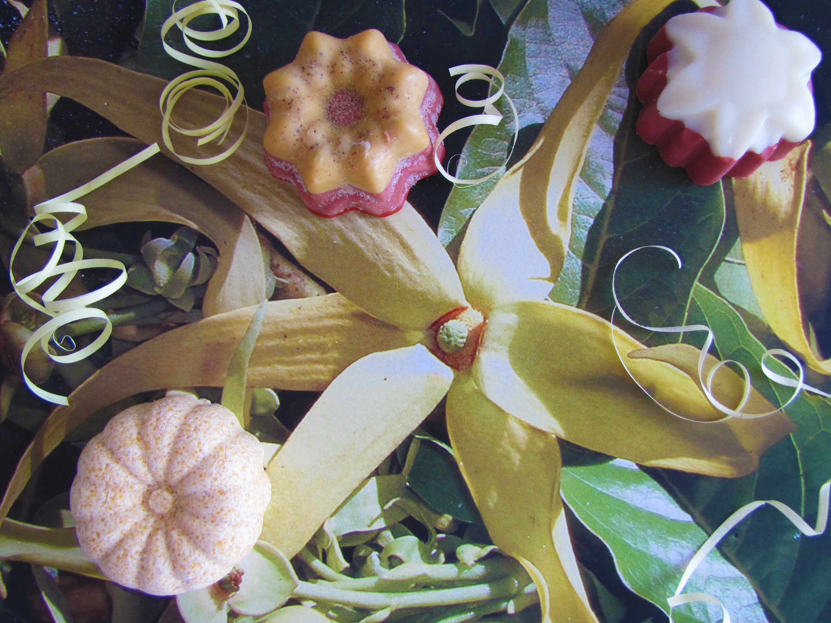 Mon bouquet de fleurs pour le bain : fleur rose