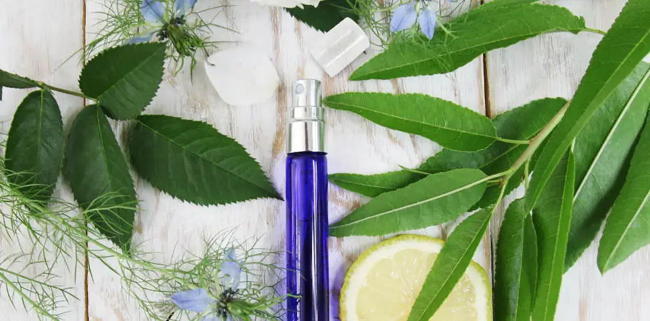 Grande-photo-presentation_mini_vapo_bleu_10ml