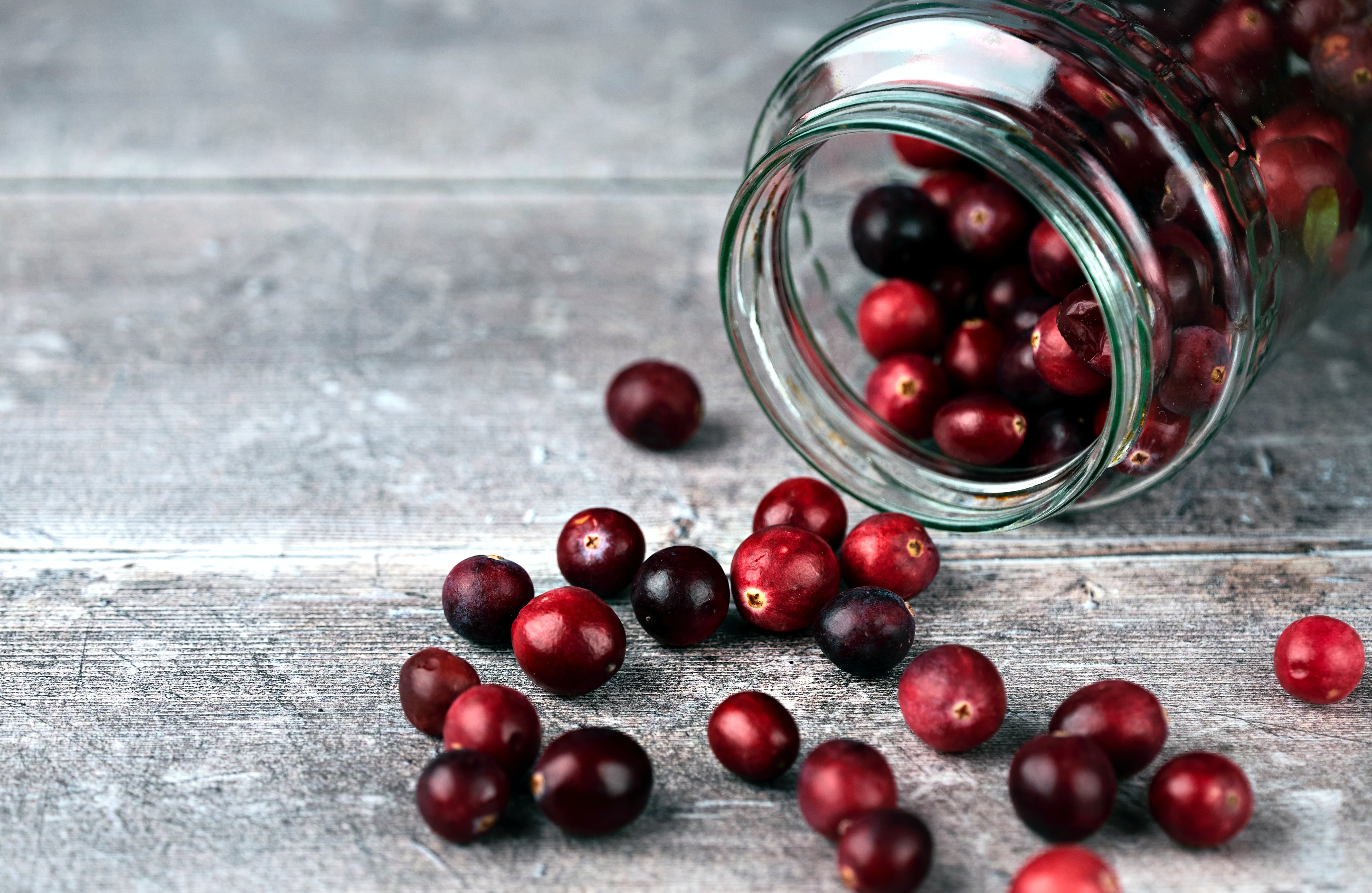 canneberge-cranberry-bienfaits-origines-et-recettes-aroma-zone
