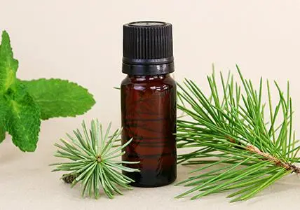 W446070_Composition-a-diffuser_Pin-etincellant-givre_web.webp
