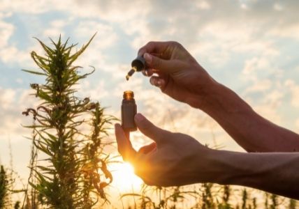 Huile de CBD en pratique