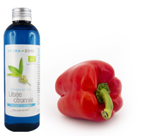 Diffuseur d'huile essentielle électrique