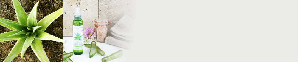 Vos recettes préférées avec notre gel d'Aloe vera BIO 