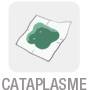 cataplasme