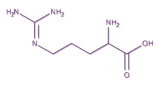 Arginine : acide aminé