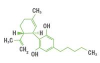 Molécule de CBD